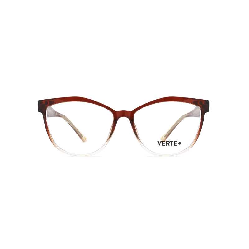 VE 005/CS C1